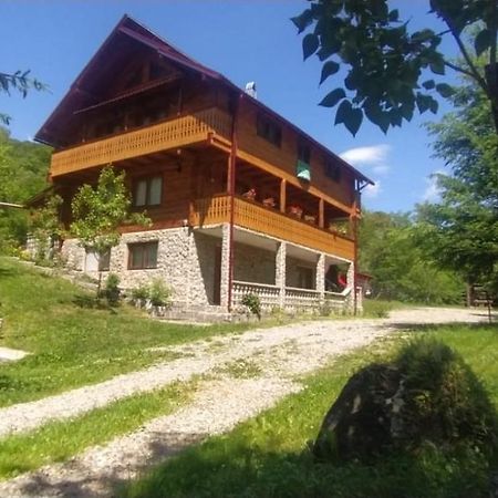 Pensiunea Simina Viseu de Jos Extérieur photo