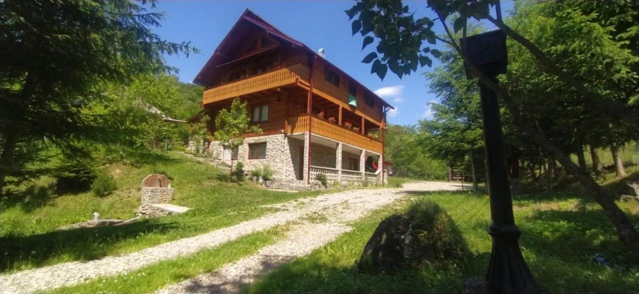Pensiunea Simina Viseu de Jos Extérieur photo