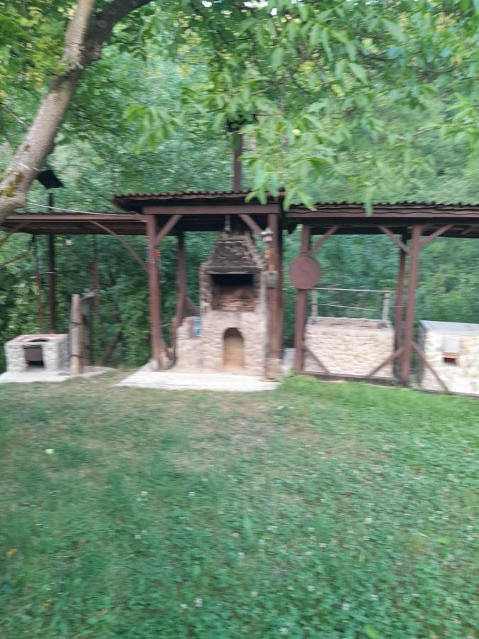 Pensiunea Simina Viseu de Jos Extérieur photo
