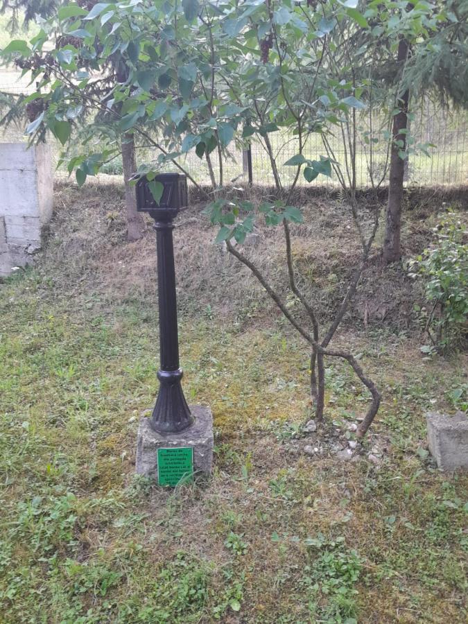Pensiunea Simina Viseu de Jos Extérieur photo