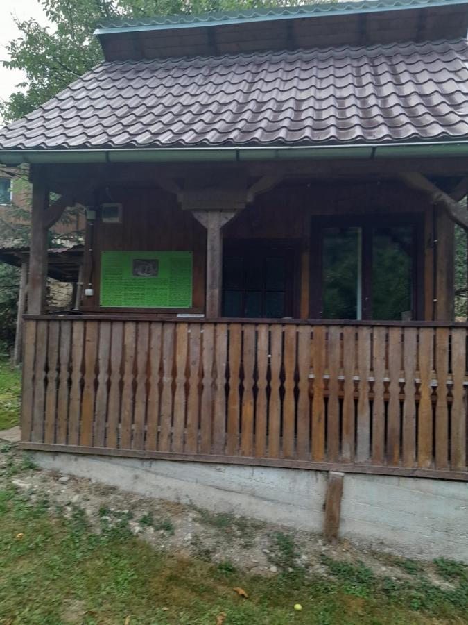Pensiunea Simina Viseu de Jos Extérieur photo